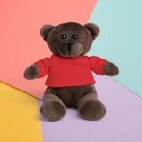 Teddy bear in a T-shirt
