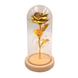 Night lamp - Rose